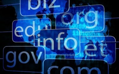 La Importancia de Conocer el Historial de un Dominio